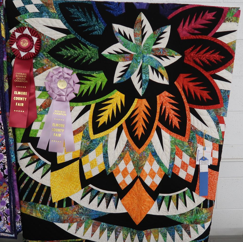 2024 Elmore County Fair Quilts